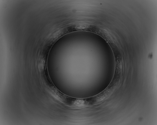 X0000100860227200806201224