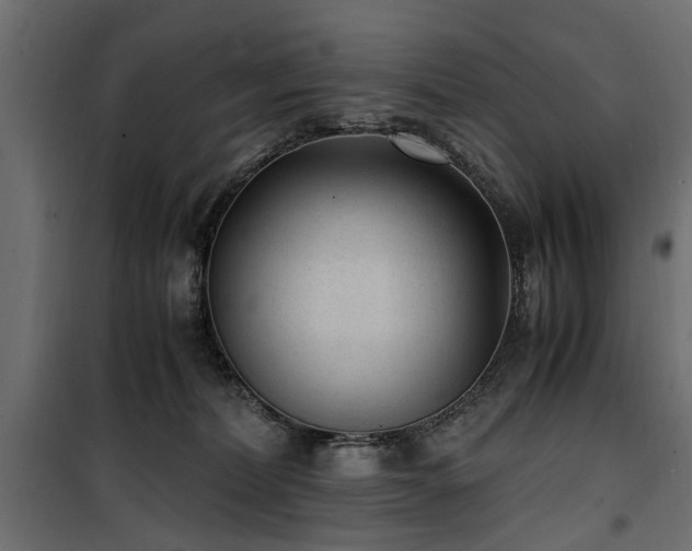 X0000100860228200806201224