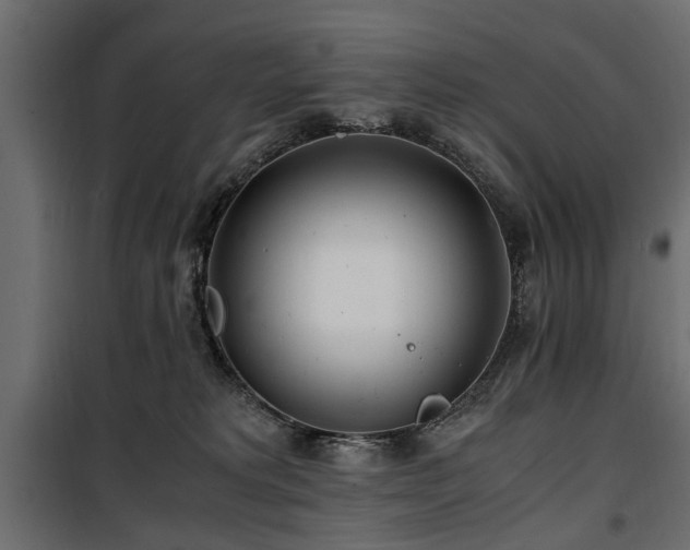 X0000100860229200806201224