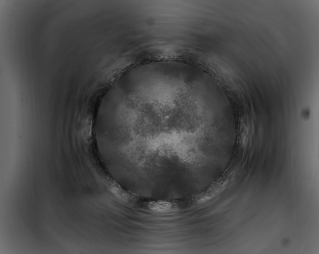 X0000100860230200806201224