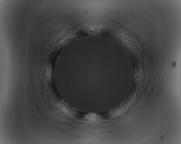 X0000100860231200806201224