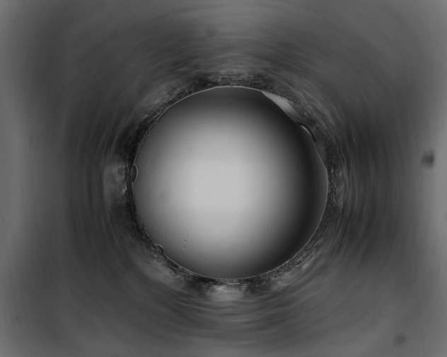 X0000100860232200806201224