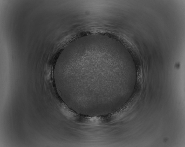 X0000100860233200806201224