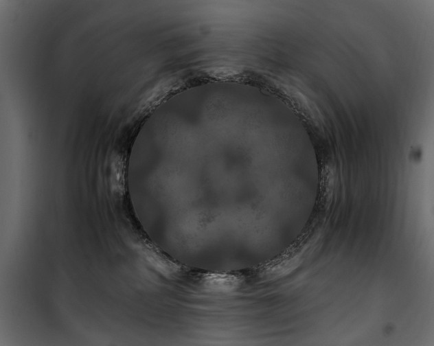 X0000100860234200806201224