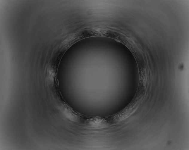 X0000100860235200806201224