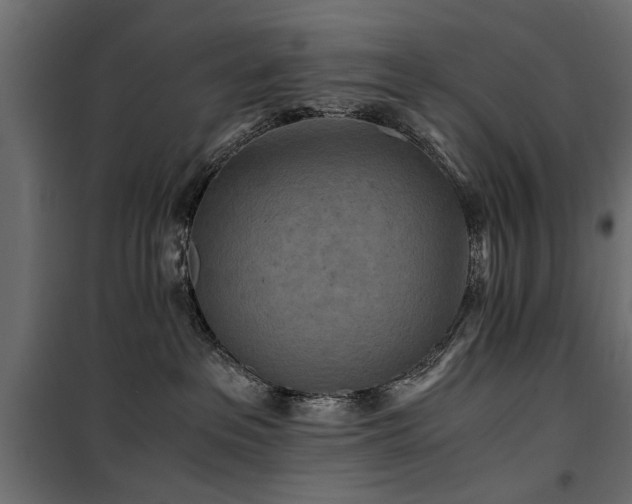 X0000100860237200806201224