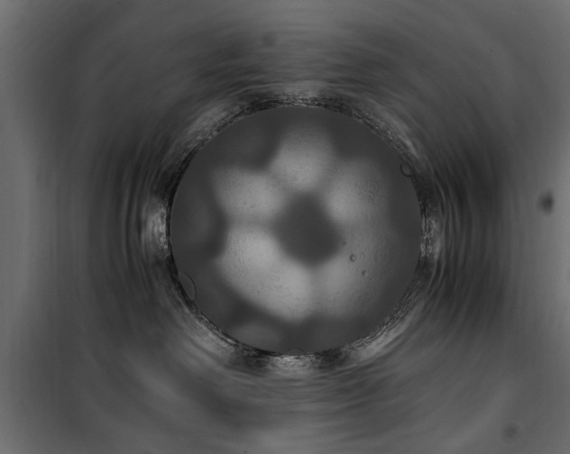 X0000100860238200806201224