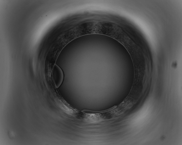 X0000100860239200806201224