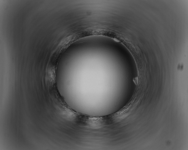 X0000100860240200806201224