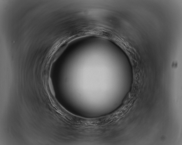 X0000100860241200806201223