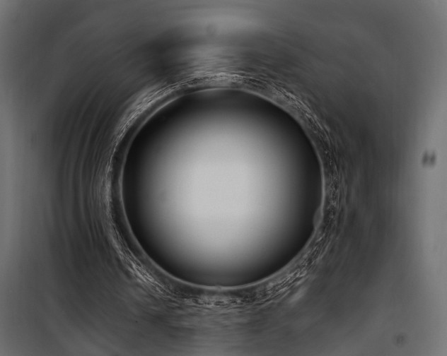 X0000100860242200806201223