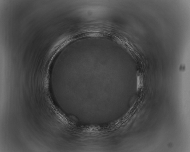 X0000100860243200806201223