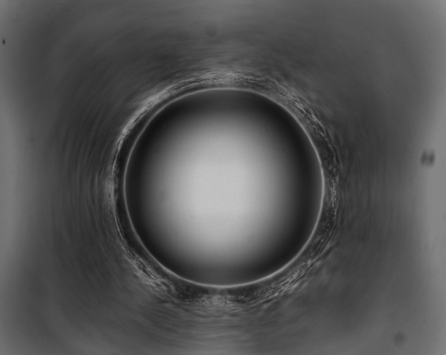 X0000100860244200806201223