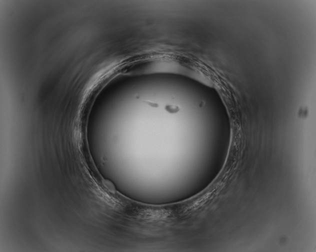 X0000100860245200806201223