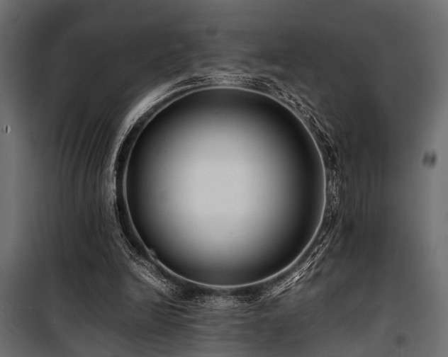 X0000100860246200806201223