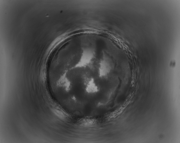 X0000100860247200806201223