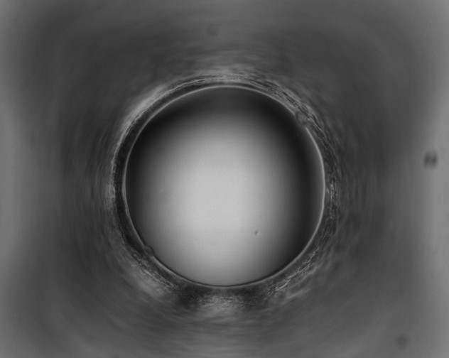 X0000100860248200806201224