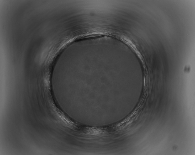 X0000100860249200806201224