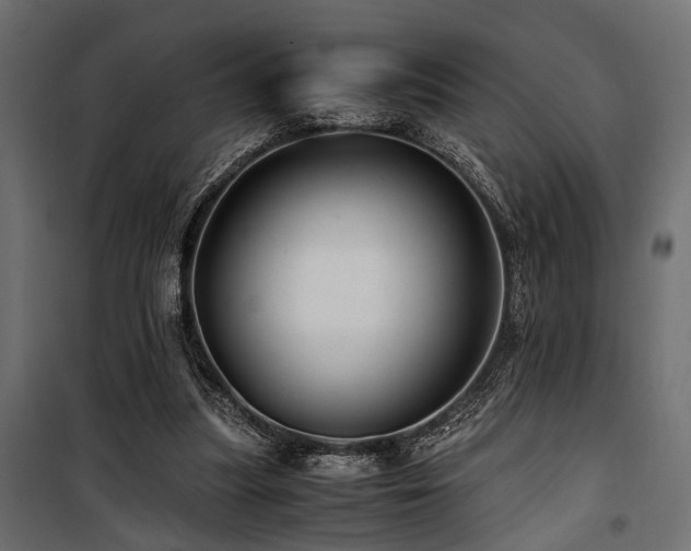 X0000100860251200806201224