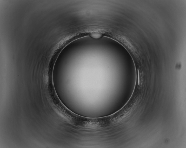 X0000100860252200806201224