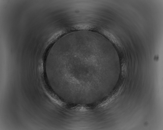 X0000100860254200806201224