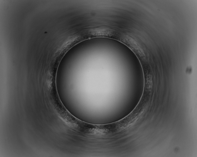 X0000100860255200806201224