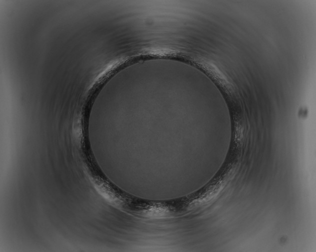 X0000100860256200806201224