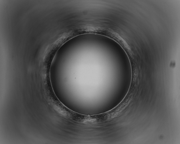 X0000100860257200806201224