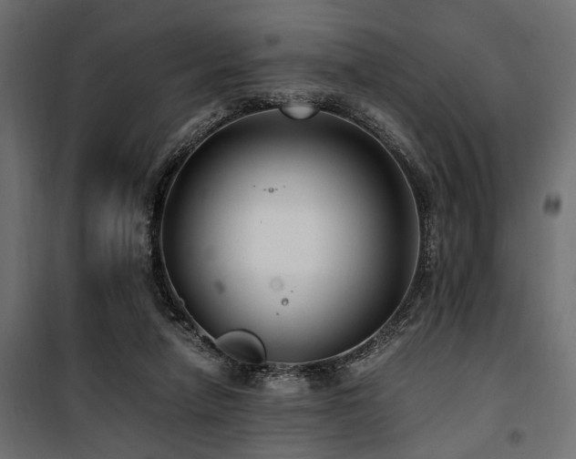 X0000100860258200806201224