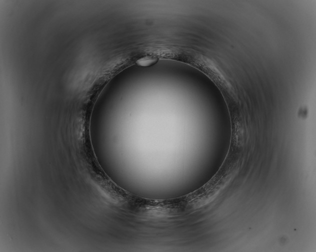 X0000100860259200806201224