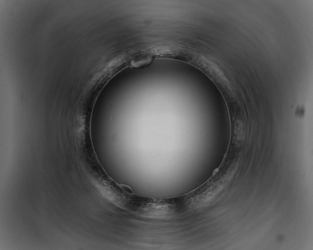 X0000100860260200806201224