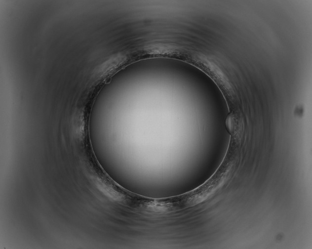 X0000100860261200806201224