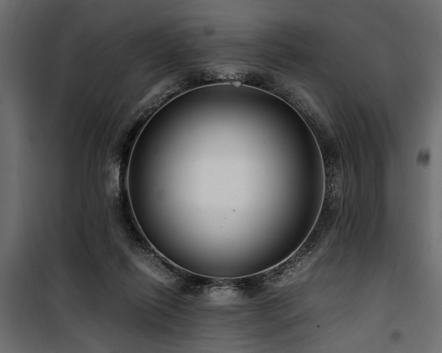 X0000100860262200806201224