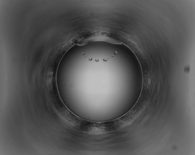 X0000100860263200806201224