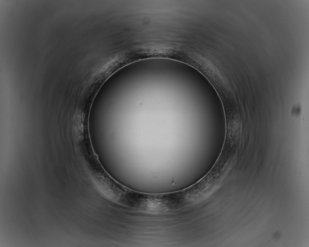 X0000100860264200806201224