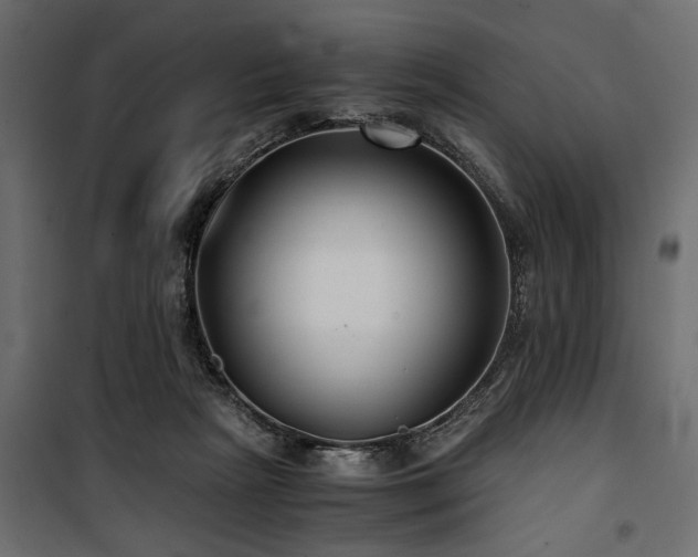 X0000100860265200806201224