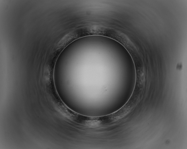 X0000100860266200806201224