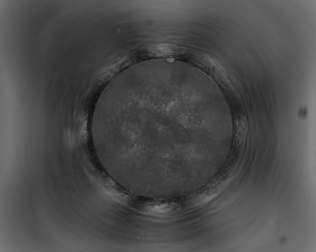 X0000100860267200806201224