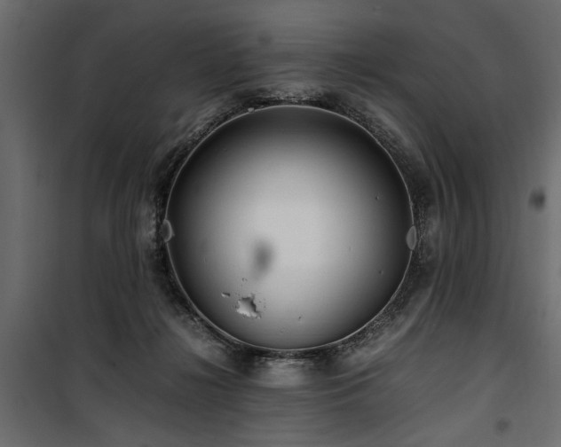 X0000100860268200806201224