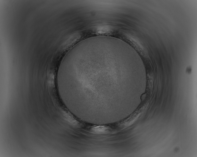 X0000100860269200806201224