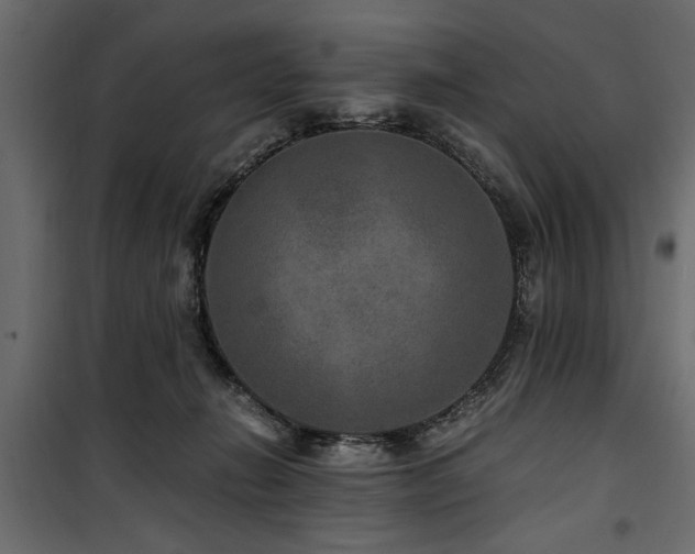 X0000100860270200806201224