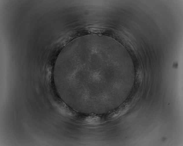 X0000100860271200806201224