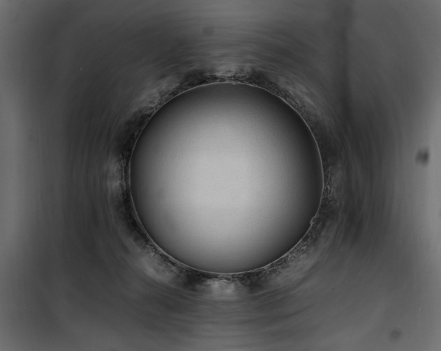 X0000100860272200806201224