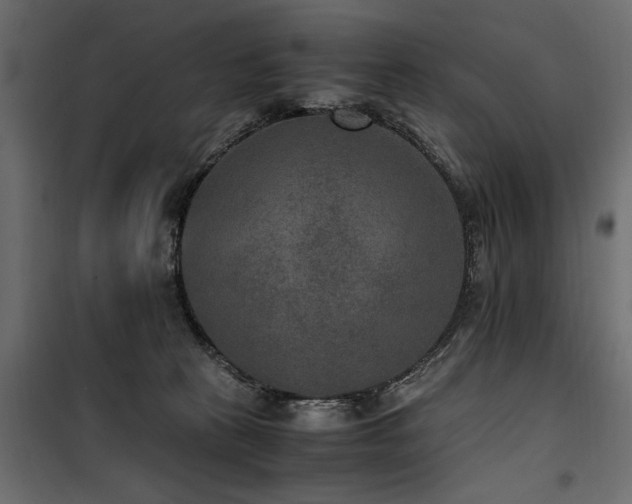 X0000100860273200806201224