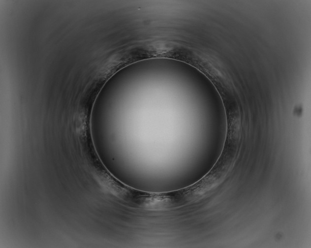 X0000100860274200806201224