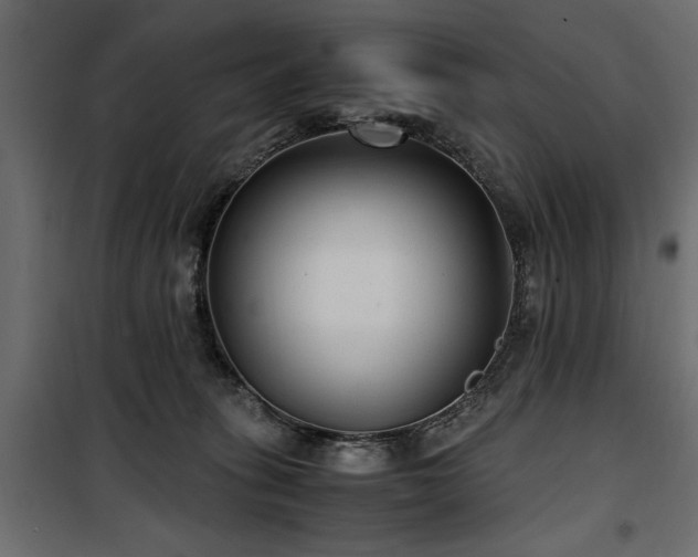 X0000100860275200806201224