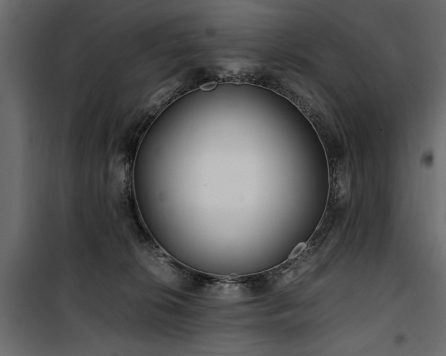 X0000100860276200806201224