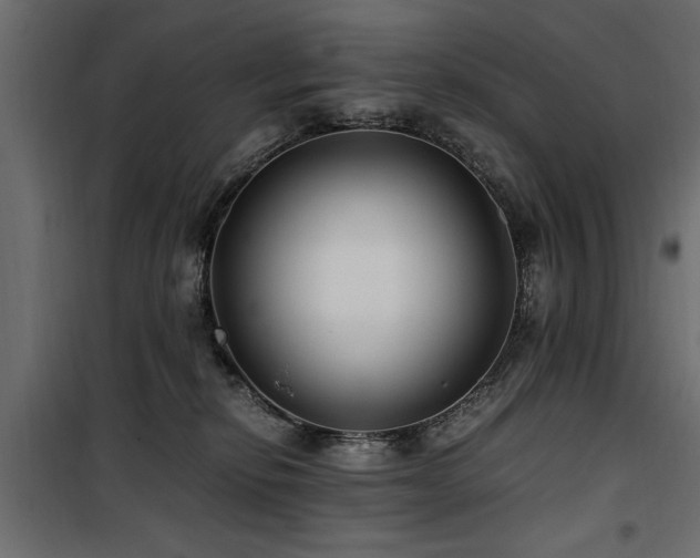 X0000100860278200806201224