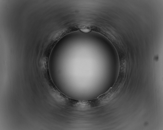 X0000100860280200806201224