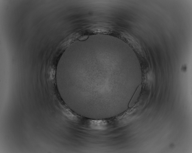 X0000100860281200806201224